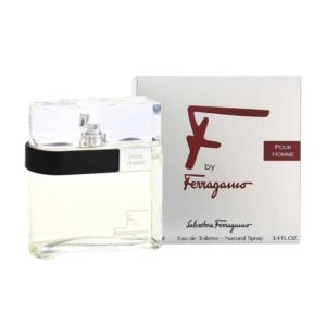 Salvatore Ferragamo F by Ferragamo pour homme for Men 100ml