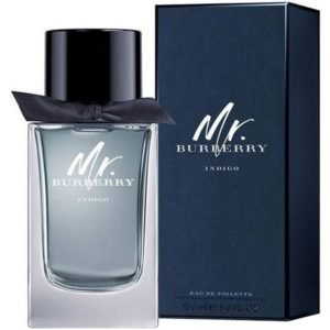 Burberry Mr. Burberry Indigo EDT 100ml for Men Tester Pack
