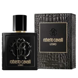 Roberto Cavalli Uomo Edt 100ml for Men
