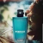 Paris Corner Pure Male Pendora Scents Edp Men 100ml