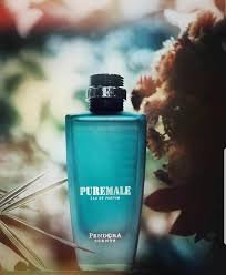 Paris Corner Pure Male Pendora Scents Edp Men 100ml