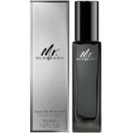 Burberry Mr. Burberry Edp 30ML For Men