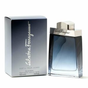 Salvatore Ferragamo Subtil Pour Homme Edt 100ml For Men
